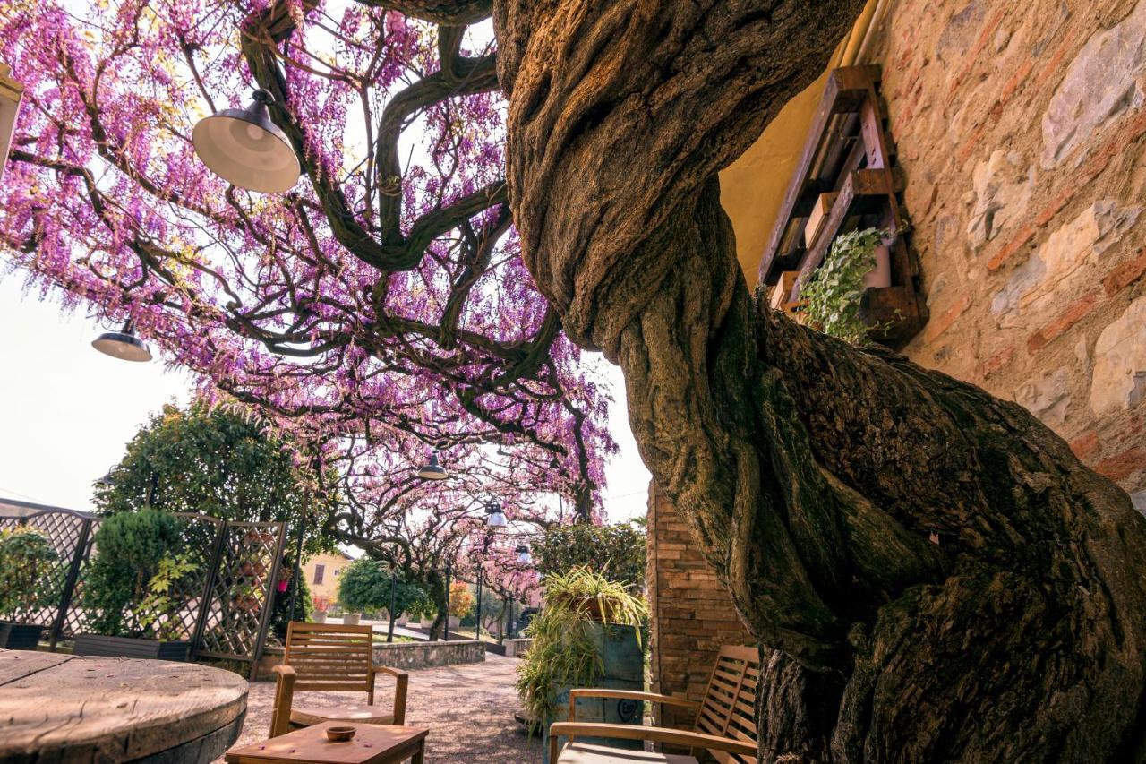 Il Glicine B&B Ristorante Cazzago San Martino Экстерьер фото